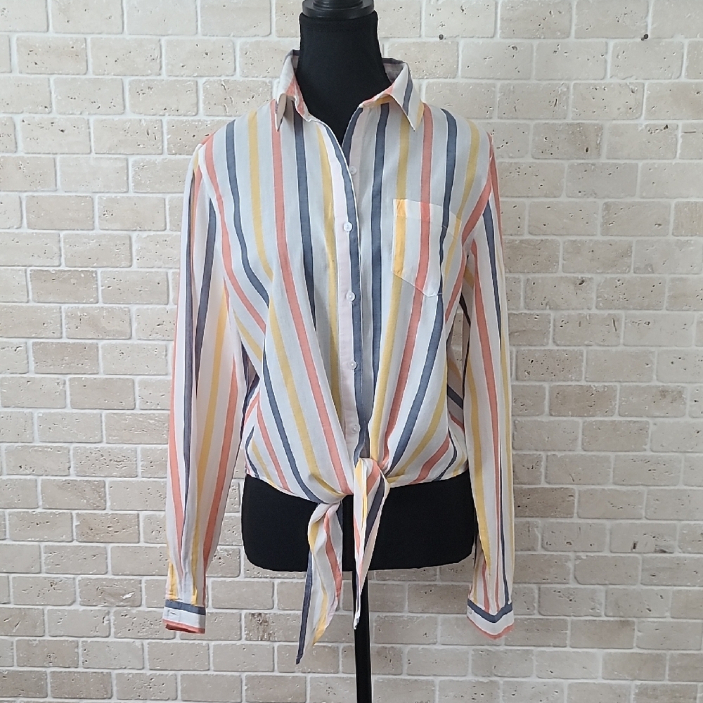 Japna Multicolor Cotton Striped Button Down Shirt (Sz M)